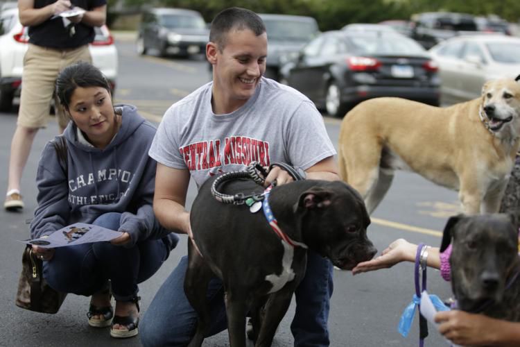 Dogs are blessed for the Feast of Saint Francis of Assisi